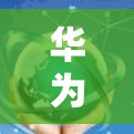 华为USG防火墙VPN验证，技术与实践的深度融合