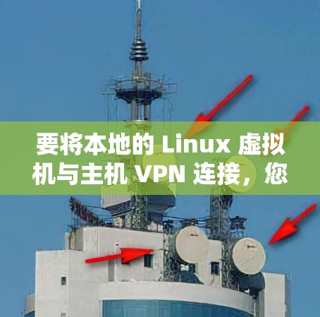 要将本地的 Linux 虚拟机与主机 VPN 连接,您可以按照以下步骤操作