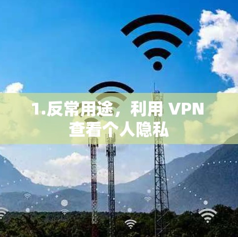 1.反常用途，利用 VPN 查看个人隐私