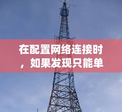 在配置网络连接时,如果发现只能单ping,而预期能够连接到多个IP地址,可能需要以下步骤进行检查和配置
