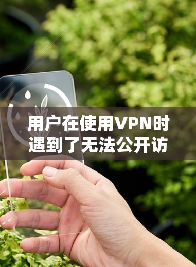 用户在使用VPN时遇到了无法公开访问网络服务（OB）的问题，可能的原因有很多，包括以下几个方面
