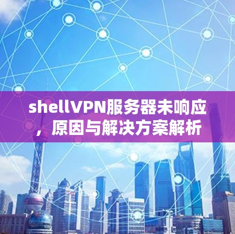 shellVPN服务器未响应,原因与解决方案解析