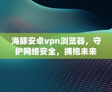 海豚安卓vpn浏览器,守护网络安全,拥抱未来?
