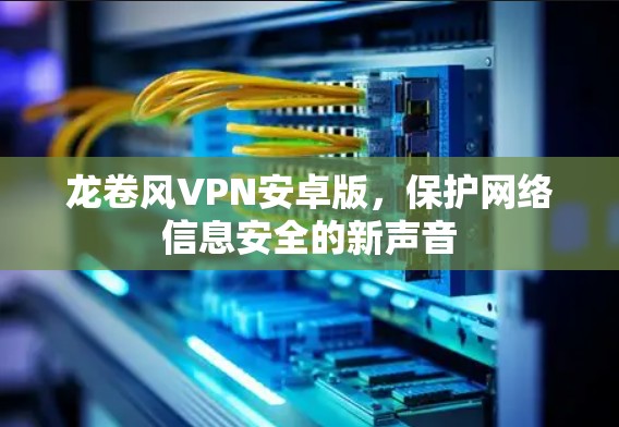 龙卷风VPN安卓版,保护网络信息安全的新声音