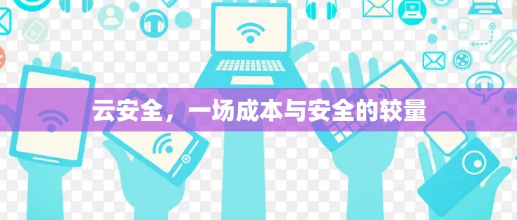 云安全,一场成本与安全的较量
