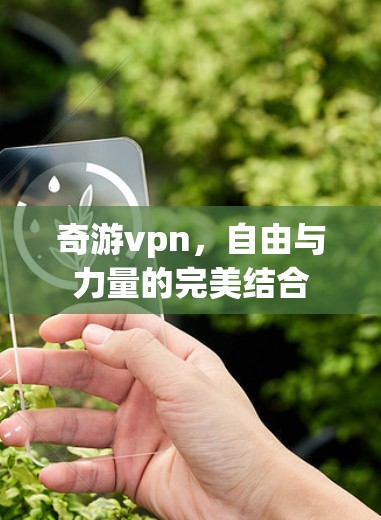 奇游vpn,自由与力量的完美结合