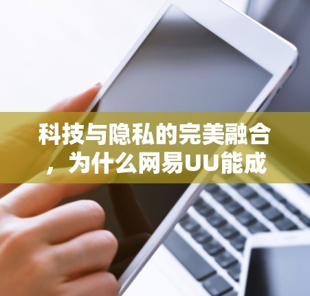 科技与隐私的完美融合,为什么网易UU能成为现代社交的新选择
