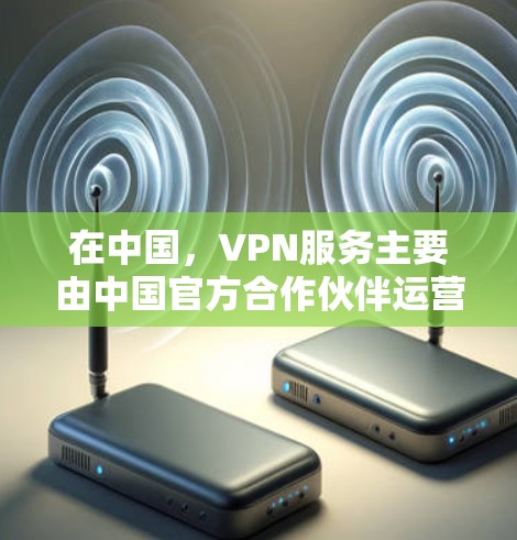 在中国,VPN服务主要由中国官方合作伙伴运营,如中国国风、联想、腾讯等。这些平台都是经过严格审核的,符合中国的法律法规和网络安全政策