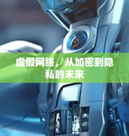 虚假网络,从加密到隐私的未来