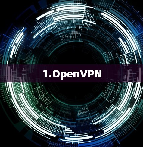 1.OpenVPN