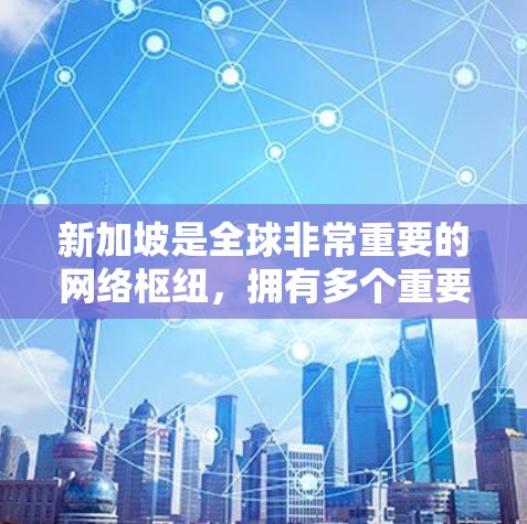 新加坡是全球非常重要的网络枢纽，拥有多个重要的VPN节点。这些节点在新加坡的互联网上提供了多种VPN选项，以满足不同用户的网络需求。以下是关于新加坡VPN节点的一些详细信息