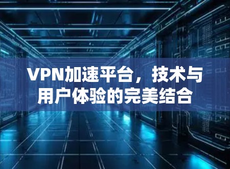 VPN加速平台,技术与用户体验的完美结合