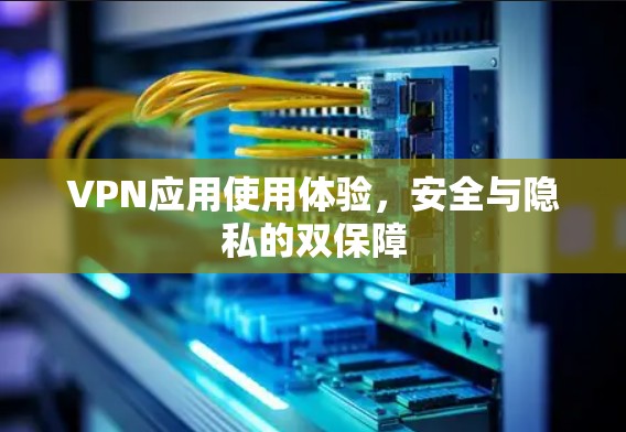 VPN应用使用体验,安全与隐私的双保障