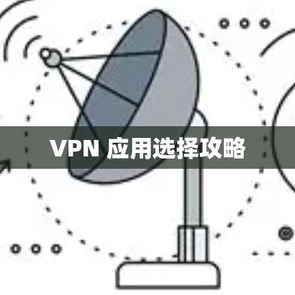 VPN 应用选择攻略