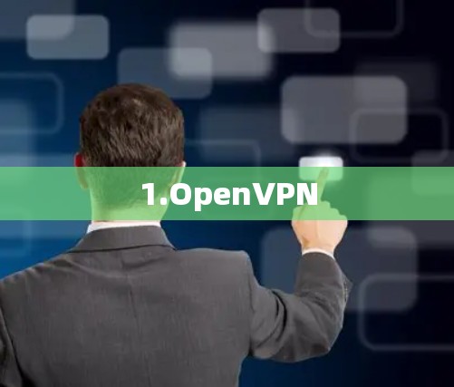 1.OpenVPN