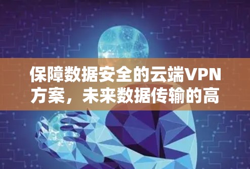 保障数据安全的云端VPN方案,未来数据传输的高效保障